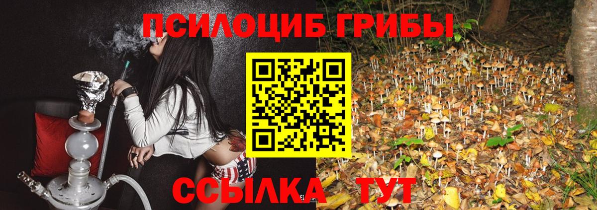 Псилоцибиновые грибы Magic Shrooms Избербаш