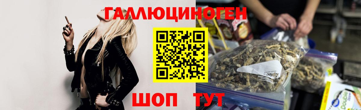 Избербаш  Галлюциногенные грибы MAGIC MUSHROOMS  Вход с VPN 